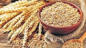 സംസ്ഥാനത്തെ ആദ്യ അതിദാരിദ്ര്യ മുക്ത ജില്ലയായി കണ്ണൂർ