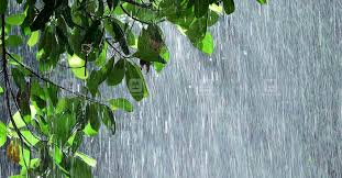 ഇടിമിന്നലോട് കൂടി കനത്ത മഴയ്ക്ക് സാദ്ധ്യത