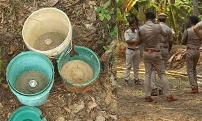 പാനൂരില്‍ ബോംബുകൾ കണ്ടെത്തി