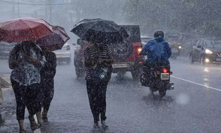 വയനാട് ജില്ലയിലെ വിദ്യാഭ്യാസ സ്ഥാപനങ്ങൾക്ക് നാളെ അവധി