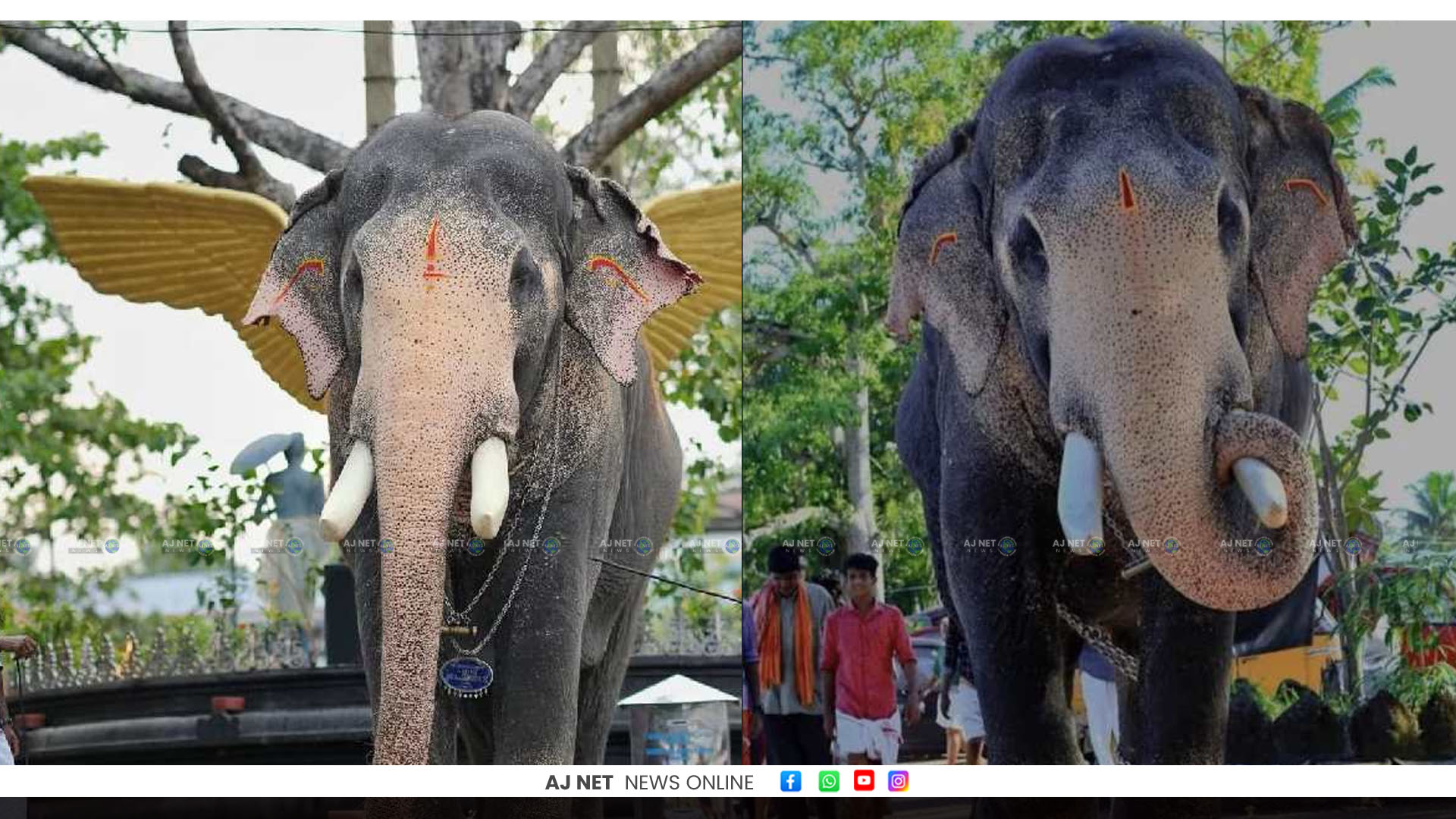 അന്ന് ഓമനച്ചേട്ടനെ കാണാന്‍ മിഴിനീരോടെ പല്ലാട്ടെ കുട്ടിയെത്തി; ആനപ്രേമികളുടെ നെഞ്ചിലെ നീറ്റലായി ആ രംഗം
